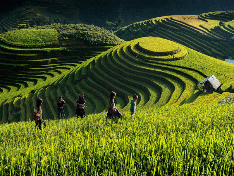 Trek Hoang Su Phi Terraced Fields 4 Days / 3 Nights - Trekking Hagiang